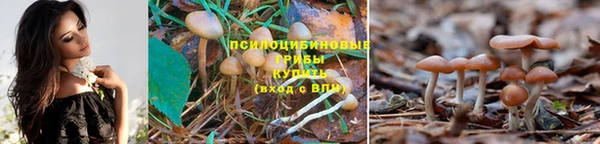 герыч Болхов