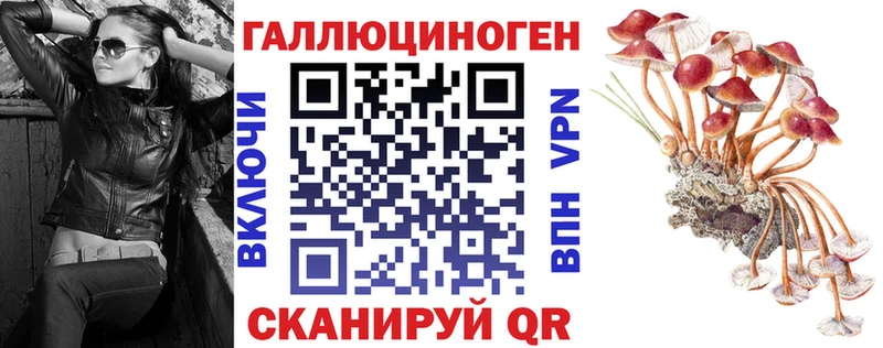 продажа наркотиков  ссылка на мегу онион  Галлюциногенные грибы Cubensis  Ладушкин 